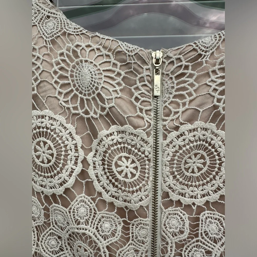 Eliza J Lace Sleeveless Shift Dress Size 6 Crochet Scalloped Hem Bohemian - Picture 6 of 9
